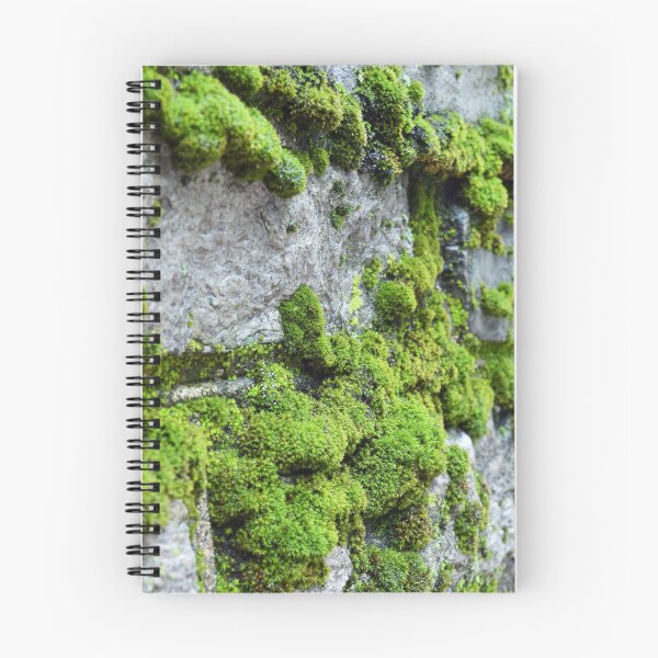 Item preview, Mossy Wall designed and sold by sillym5.