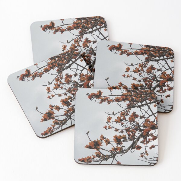 Item preview, red cotton trees（Bombax ceiba） designed and sold by ichirochen.