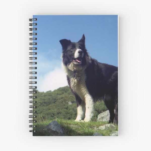 Item preview, Never Forgotten  designed and sold by Michael Haslam.