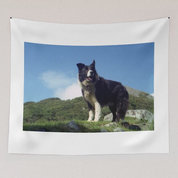 Item preview, Never Forgotten  designed and sold by Michael Haslam.