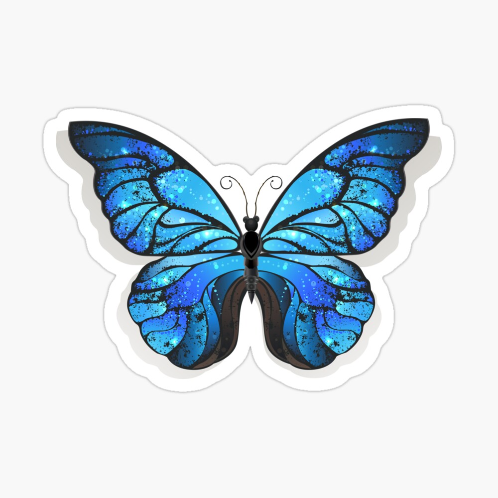 blue butterfly morpho blue butterflies photographic print by blackmoon9 redbubble