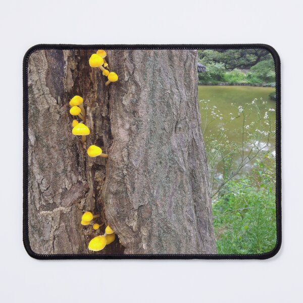 Item preview, Little Yellow Mushrooms designed and sold by Bernsberry Illustrations.