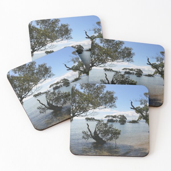Item preview, Coochie, off Brisbane designed and sold by PhotosByG.