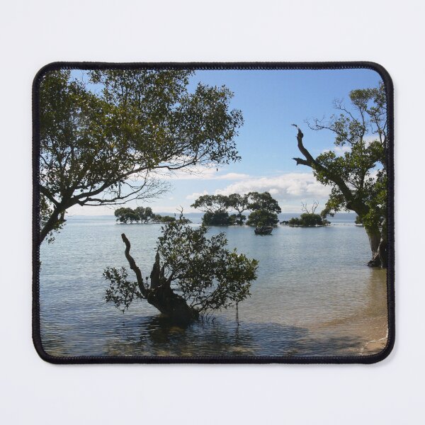 Item preview, Coochie, off Brisbane designed and sold by PhotosByG.