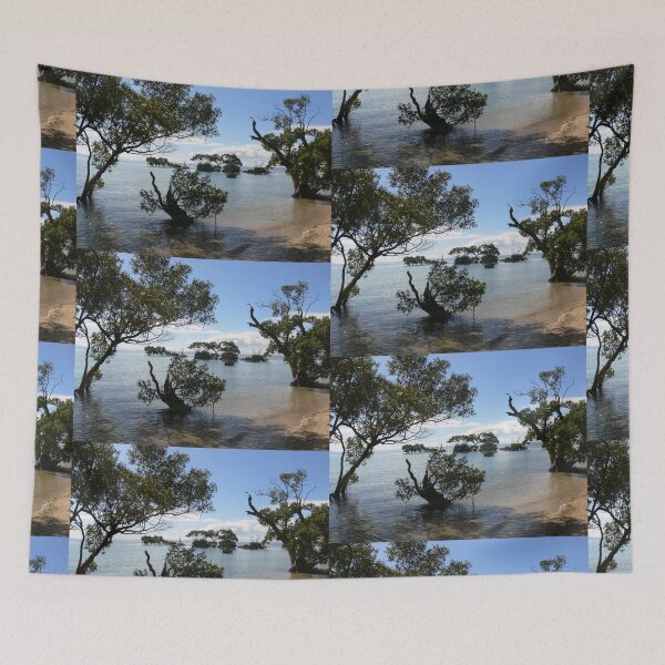 Item preview, Coochie, off Brisbane designed and sold by PhotosByG.