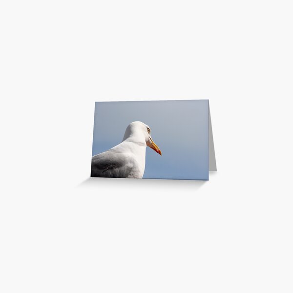 Keeping an eye on you! Greeting Card