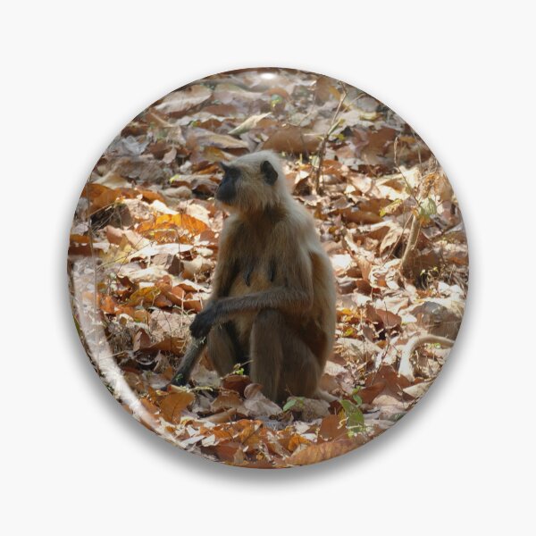 Item preview, Monkey in Dry Season designed and sold by Birgit Moldenhauer.