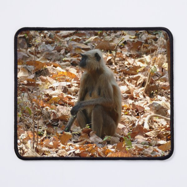 Item preview, Monkey in Dry Season designed and sold by Birgit Moldenhauer.