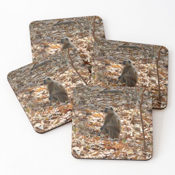 Item preview, Monkey in Dry Season designed and sold by Birgit Moldenhauer.