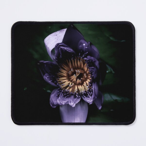 Item preview, asia flower designed and sold by NBKdesign.