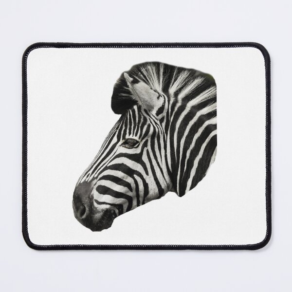 Item preview, Male Zebra  designed and sold by Dalyndigital Photography.