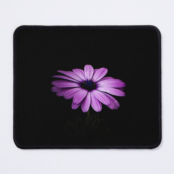 Item preview, solitary flower designed and sold by NBKdesign.