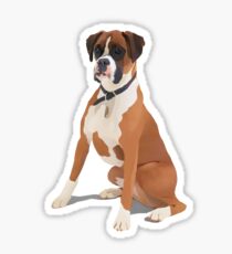 Boxer Sticker