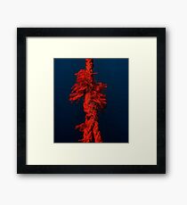 The short-tempered rope Framed Print