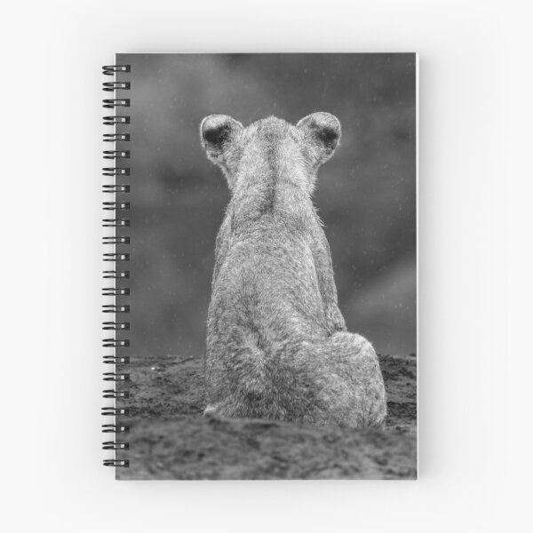Item preview, A lion cub sits in the rain at Mashatu, Botswana designed and sold by Simon Blears.