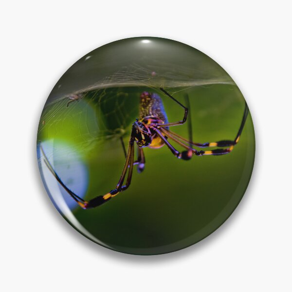 Item preview, The Web Architect designed and sold by alabca.