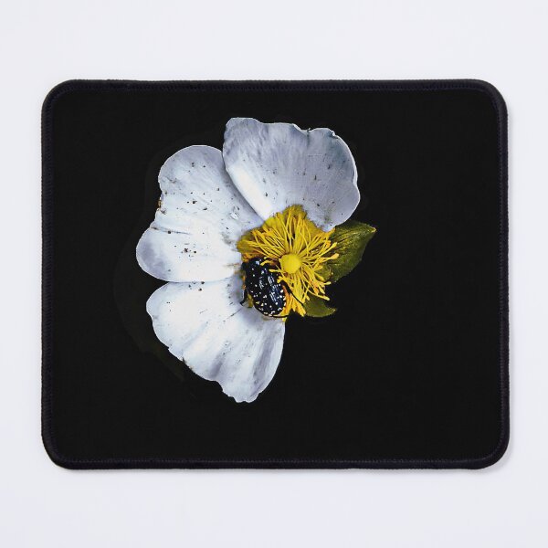 Item preview, White flower designed and sold by NBKdesign.