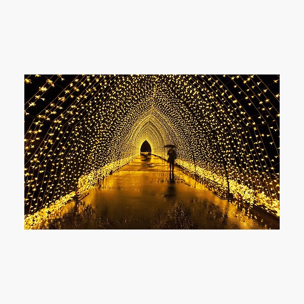 Item preview, Tunnel of Lights designed and sold by dags.