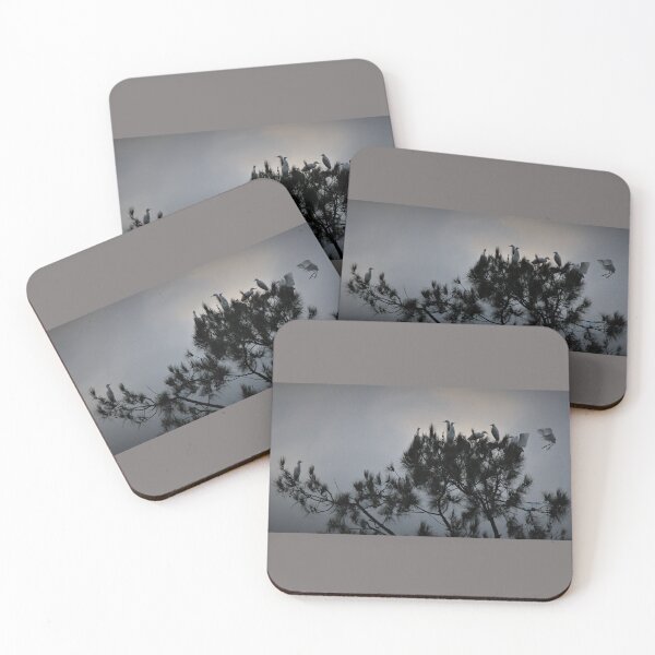 Item preview, Lessening Light Landing at the Wetlands designed and sold by KazM.