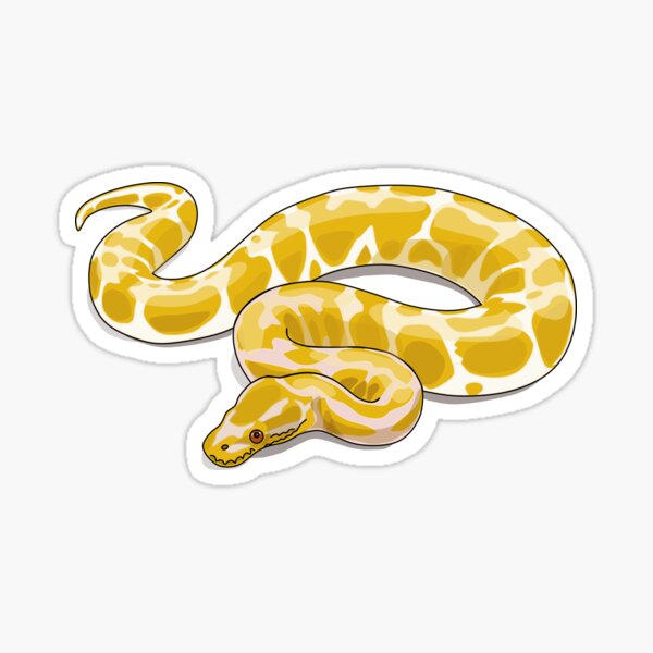 "Burmese python snake cartoon illustration" Sticker for Sale by ...