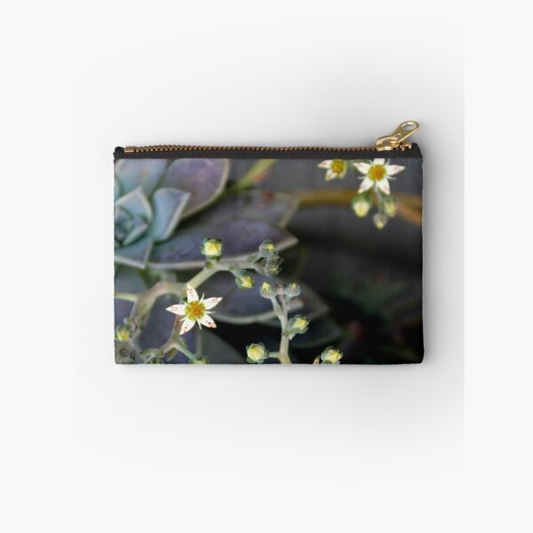 Item preview, Twinkle, Twinkle, Succulent Stars designed and sold by Michael May.
