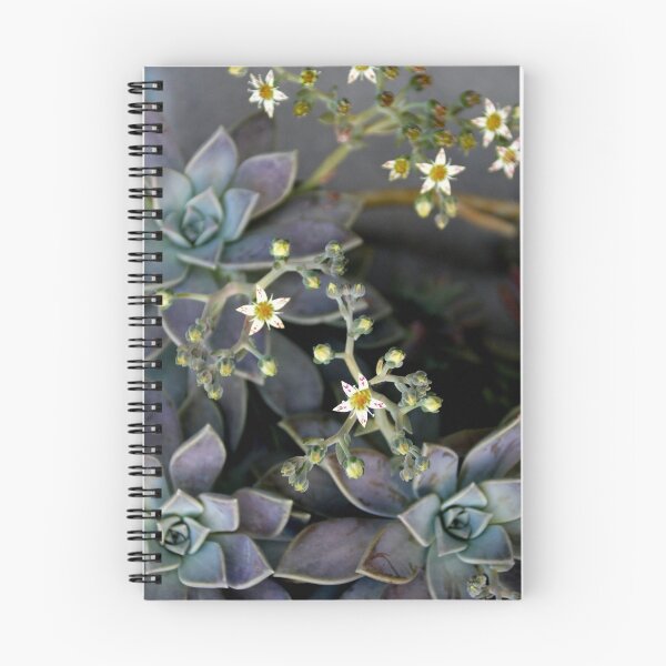 Item preview, Twinkle, Twinkle, Succulent Stars designed and sold by Michael May.