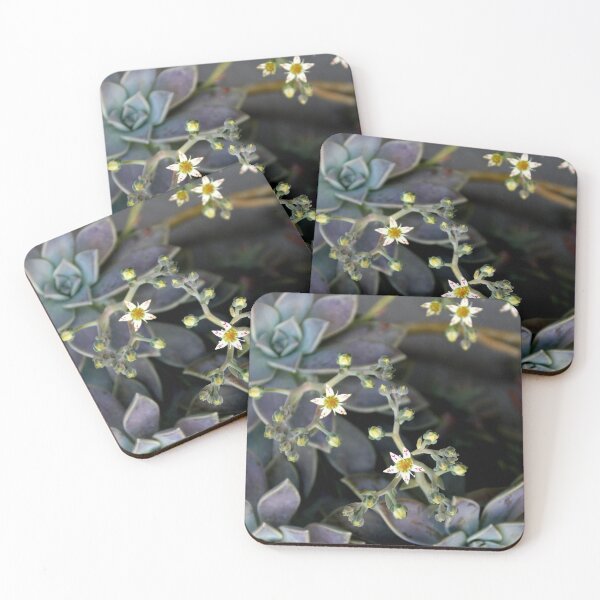 Item preview, Twinkle, Twinkle, Succulent Stars designed and sold by Michael May.