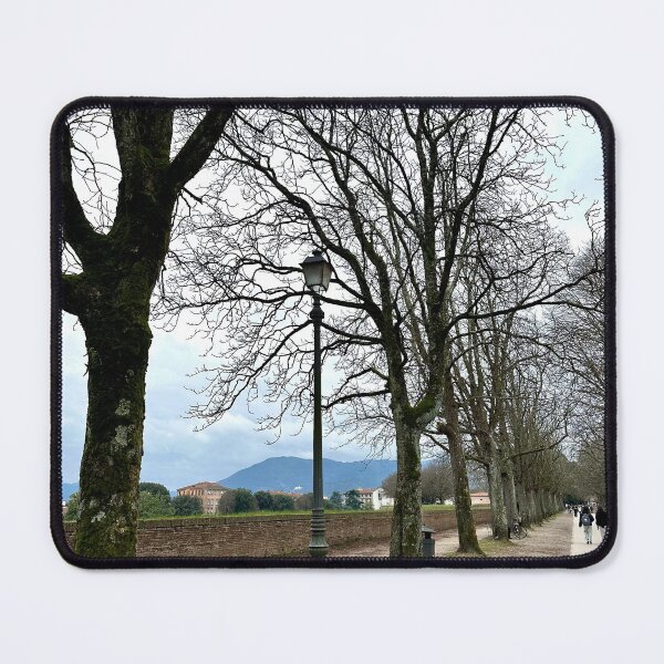 Item preview, Winter walk designed and sold by BreeFarinaPhoto.