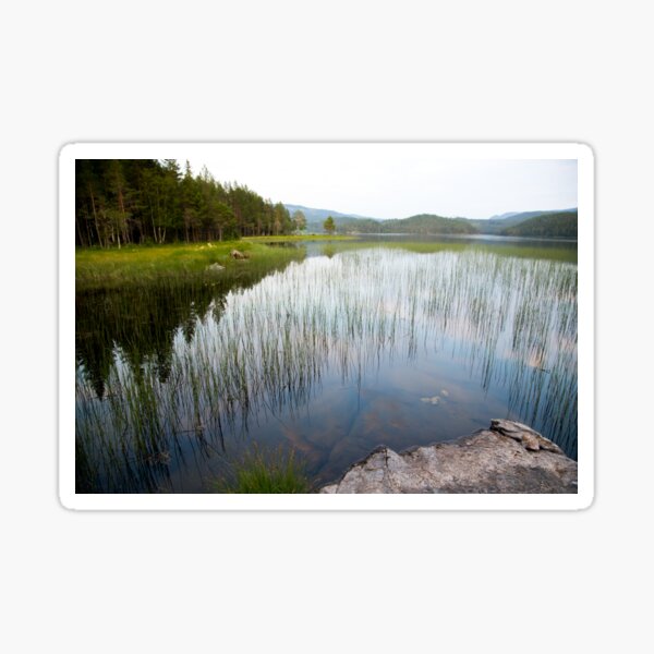 landscape lake with trees in Norway Sticker