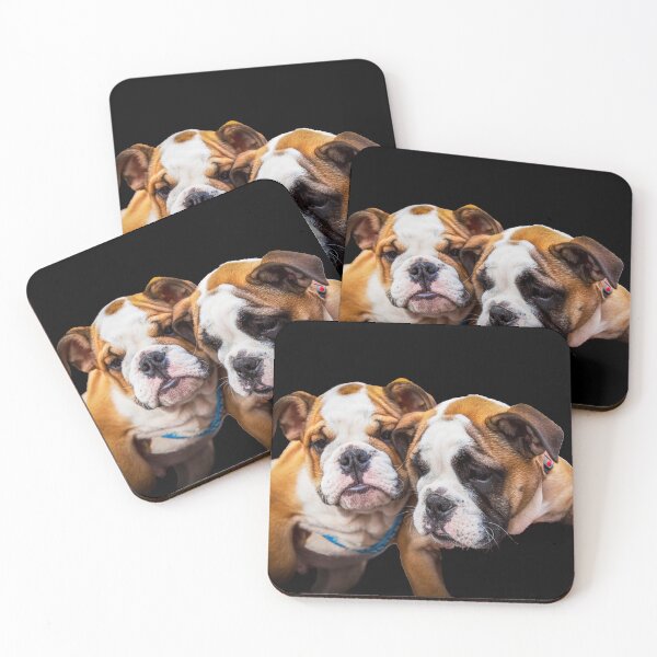 Item preview, English Bulldog Puppies designed and sold by Paul Thompson Photography.