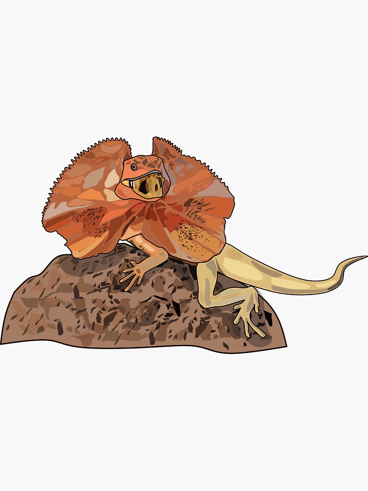 Cartoon lizard png images | PNGEgg