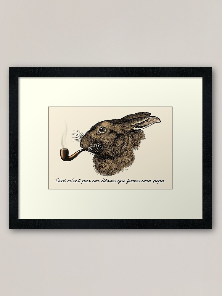 Rabbit Smoking A Pipe ubicaciondepersonas.cdmx.gob.mx