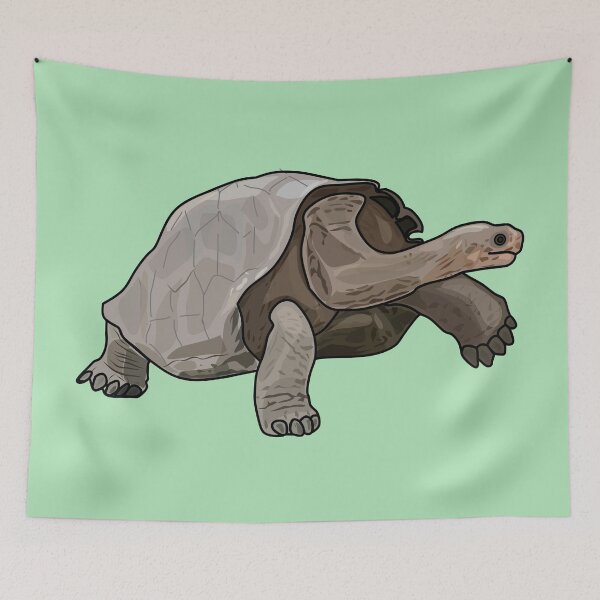 Item preview, Galapagos tortoise cartoon illustration designed and sold by Misscartoon.