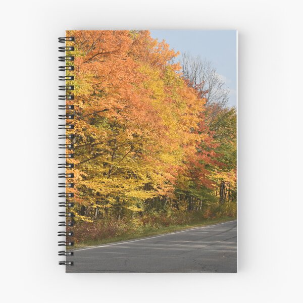 Item preview, The village road in the fall designed and sold by Claude Laprise.