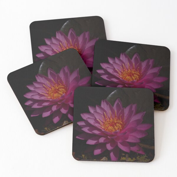 Item preview, Water Lily in Respite designed and sold by 5x5 Adventures .