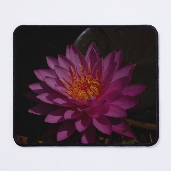 Item preview, Water Lily in Respite designed and sold by 5x5 Adventures .
