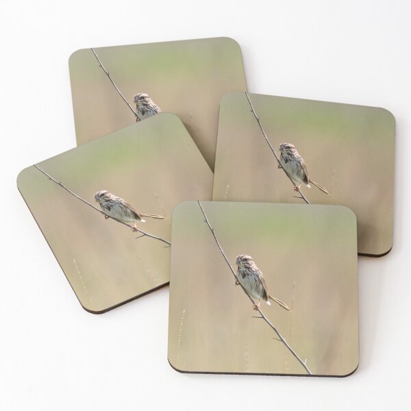 Item preview, Song sparrow in the prairie designed and sold by KRFNatureGifts.