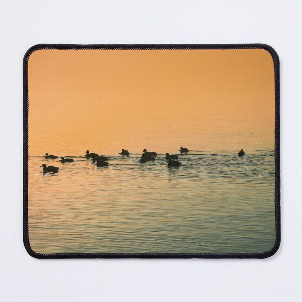 Item preview, Birds in the Morning designed and sold by Taina Sohlman.