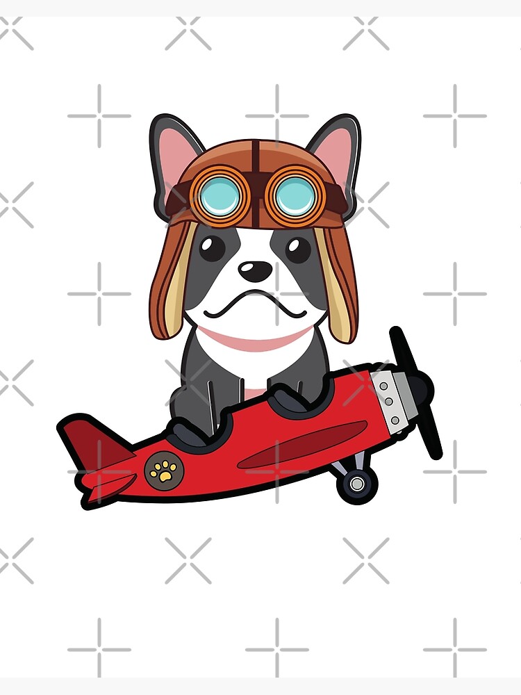 Funny French Bulldog is going to fly a vintage airplane