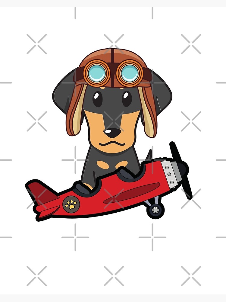 Wiener dog best sale in airplane