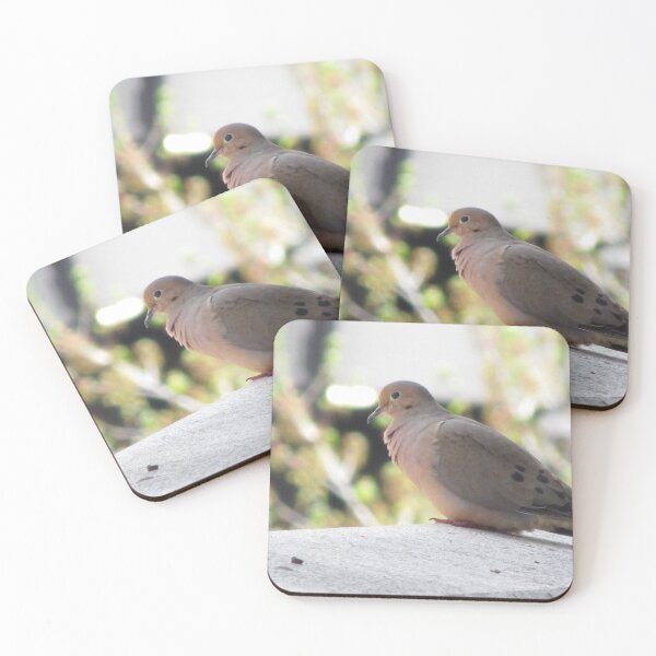 Item preview, Mourning Dove designed and sold by aidendale.