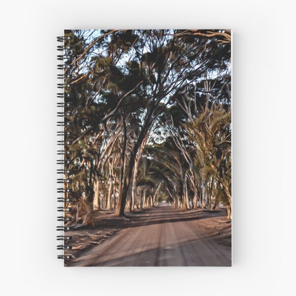 Item preview, Tree Tunnel designed and sold by IanBiAM.