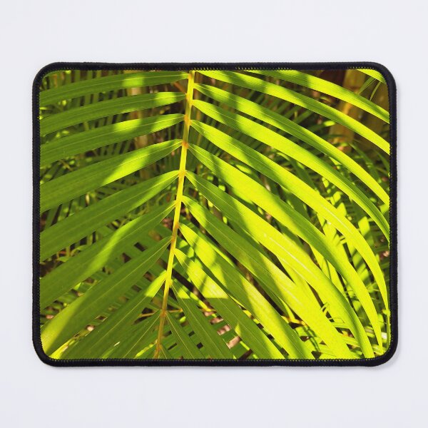 Item preview, Unedited Photography that Captures the Beauty of Sunlight and Ferns in One Shot designed and sold by PhotografeeMrsB.