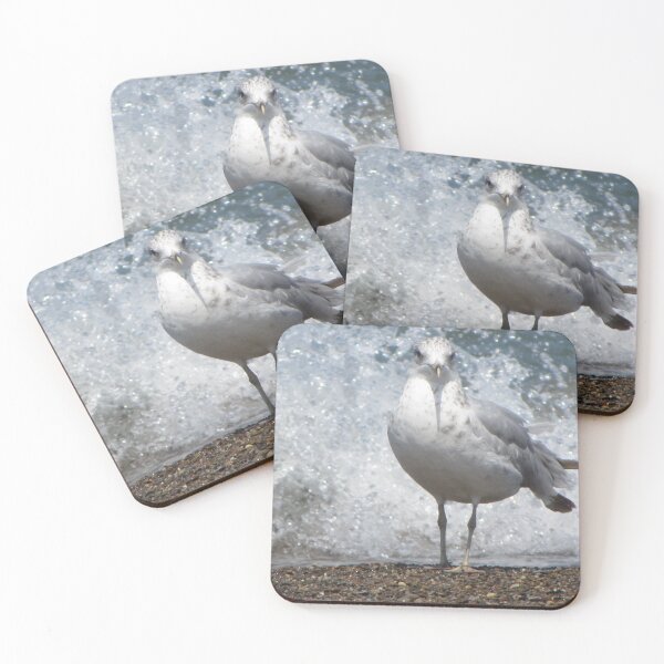 Item preview, Ring-billed Gull designed and sold by aidendale.