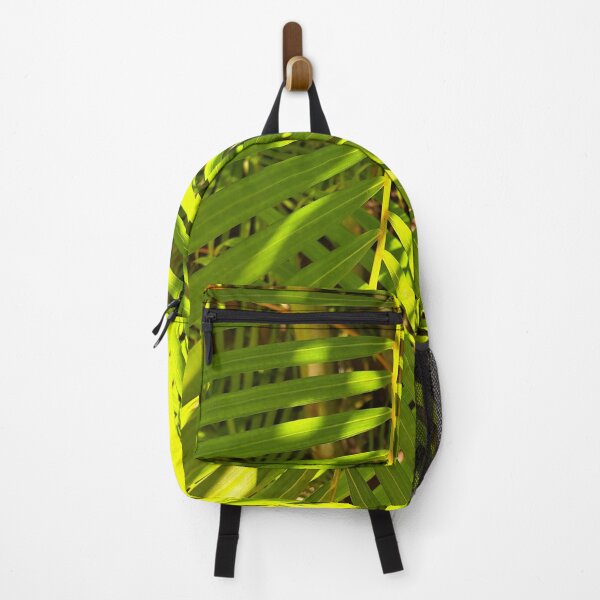 Item preview, Unedited Photography that Captures the Beauty of Sunlight and Ferns in One Shot designed and sold by PhotografeeMrsB.