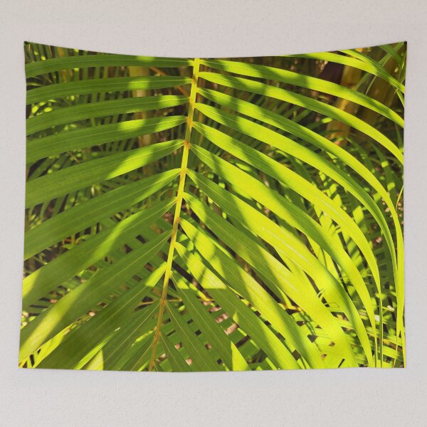 Item preview, Unedited Photography that Captures the Beauty of Sunlight and Ferns in One Shot designed and sold by PhotografeeMrsB.