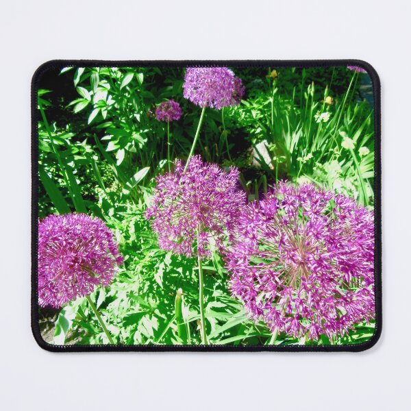 Item preview, Purple Alliums designed and sold by Shulie1.