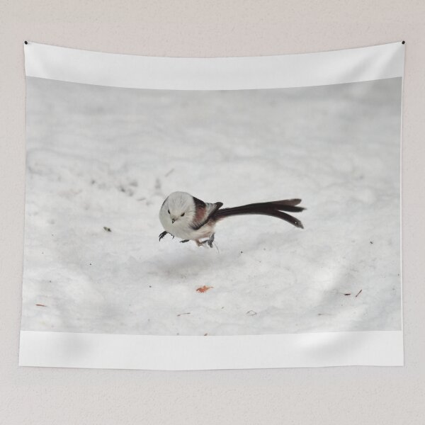 Item preview, Jump. Long-tailed tit designed and sold by Jouko Lehto Photography.