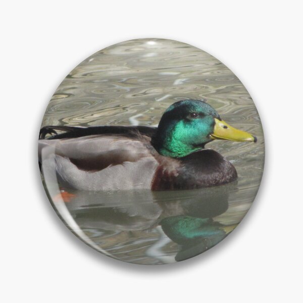 Item preview, Mallard designed and sold by aidendale.