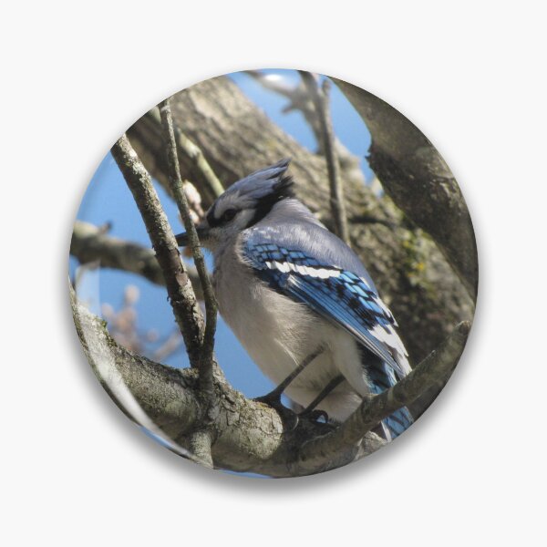 Item preview, Blue Jay designed and sold by aidendale.